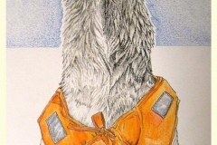 illustratie in inkt, aquarel en kleurpotlood