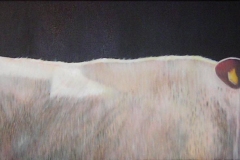 Witte witrik, 100 x 40 cm. olieverf