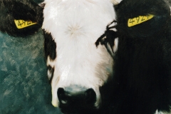 Zwartbont