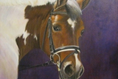 Remy - opdracht - 40 x 40 cm.