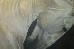 Buiging , 80 x 80 cm.
