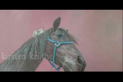 Fries paard met mussen - olieverf op canvas - 30 x 70 cm.