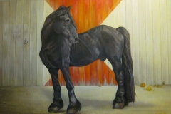 Old Star, 80 x 120 cm