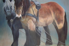 Paardenkracht, 90 x 120 cm, olieverf - kunstuitleen Veenstra