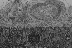 Stervende ree - 40 x 40 cm.