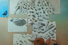 Tekenaar - olieverf op doek - 100 x 120 cm.