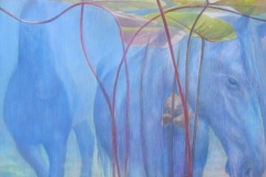 Waterpaarden - Olieverf op doek - 70 x 70 cm. 2014