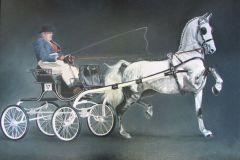 Magnifique 50x70 cm.
