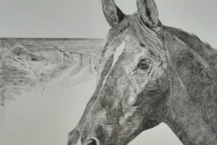 pentekening 40 x 40 cm