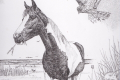 Pentekening Mon Reve - detail - 30 x 30 cm