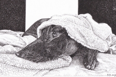 Pentekening Noor - 25 x 16 cm.