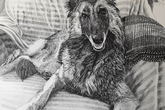 Pentekening 'Moira'  - 30 x 40 cm.
