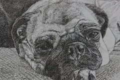 Pentekening  Puck - 15 x 15 cm