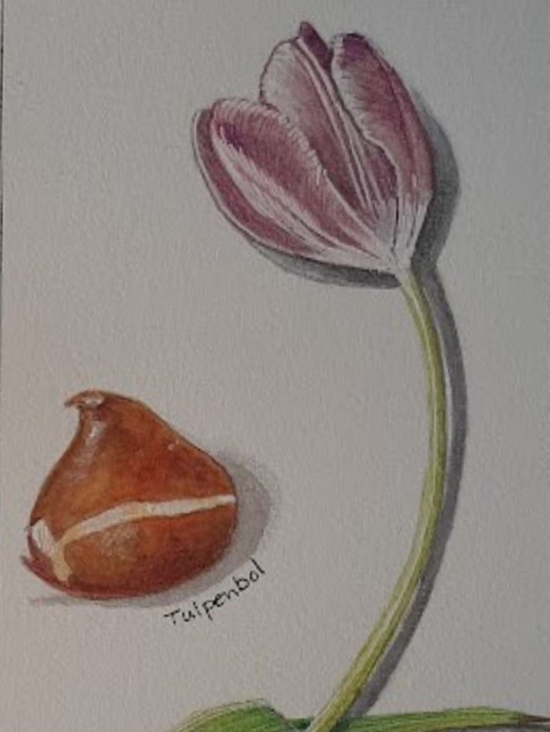 Adv_ 2-voorjaarsworkshop - 5