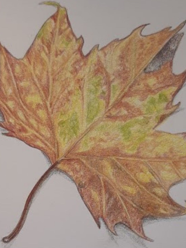 Adv_ 2-voorjaarsworkshop - 7